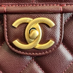 CHANEL BACKPACK DailyWear 137