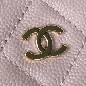 Fashionable CHANEL SMALL VANITY WITH CHANELASSIC CHAIN 1234