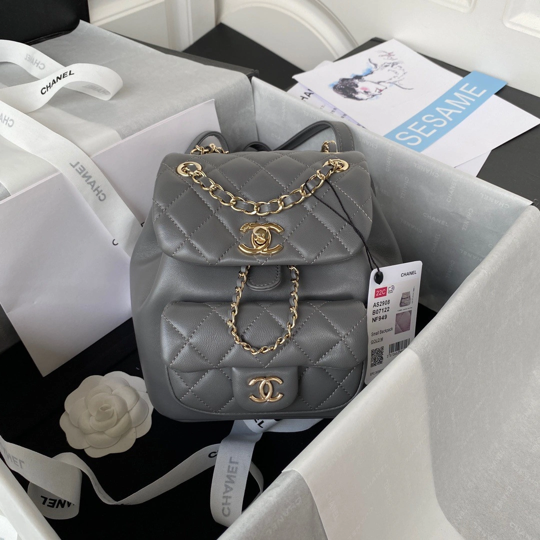 AllSeason CHANEL BACKPACK 153
