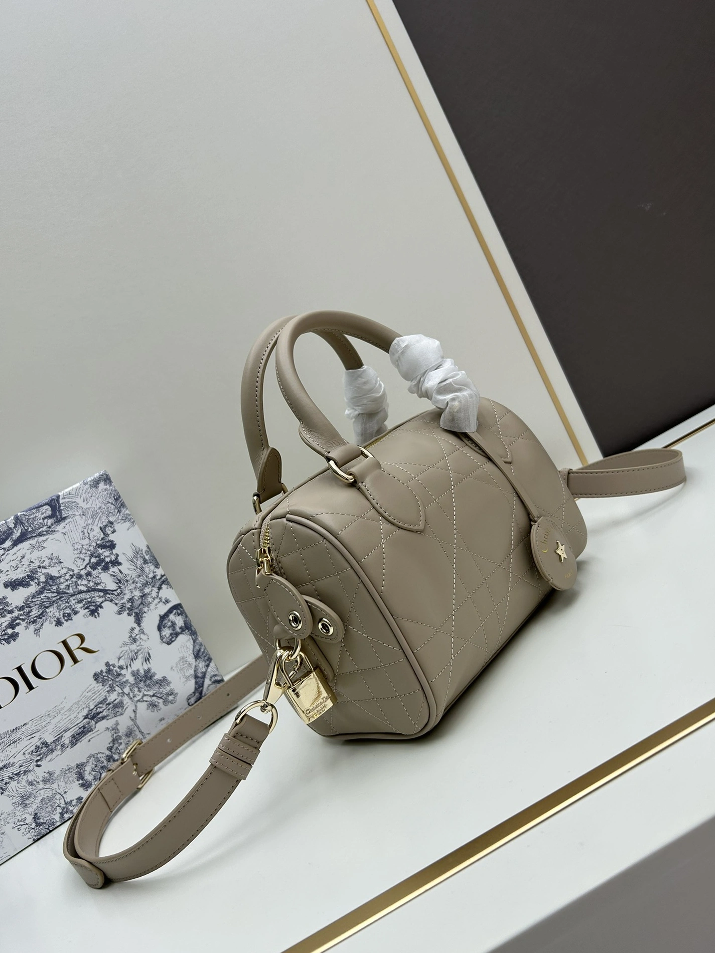 Bright 6781 Christian Dior AAA Quality Handbags For Women