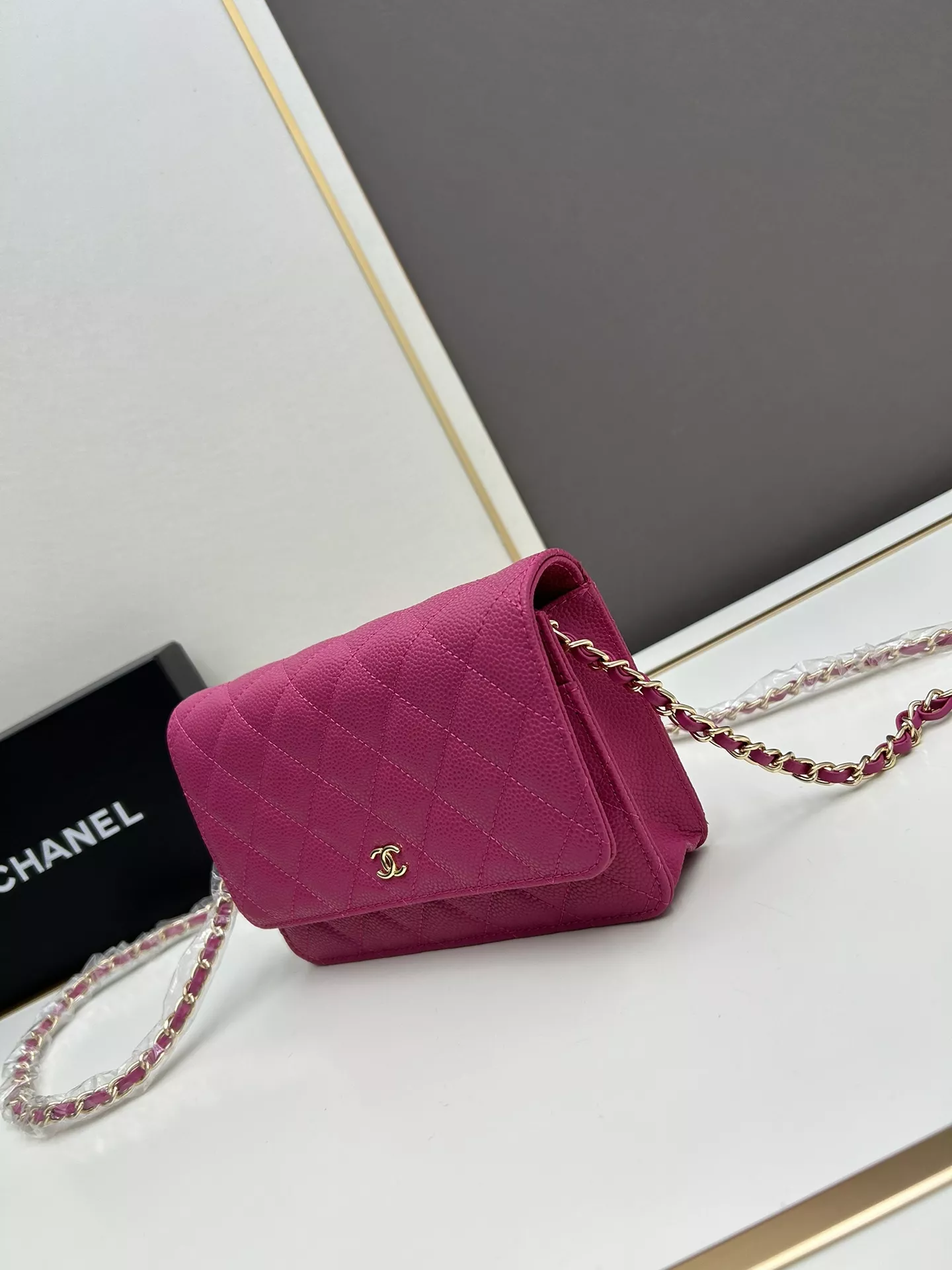 Chanel AAA Quality Messenger Bags For Women AllSeason 8729