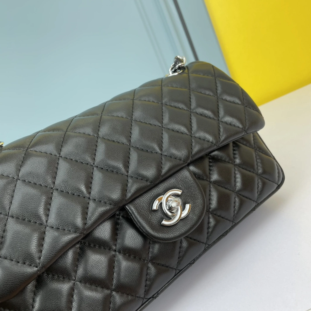 Chanel AAA Quality Shoulder Bags For Women DailyWear 4761 - Image 3