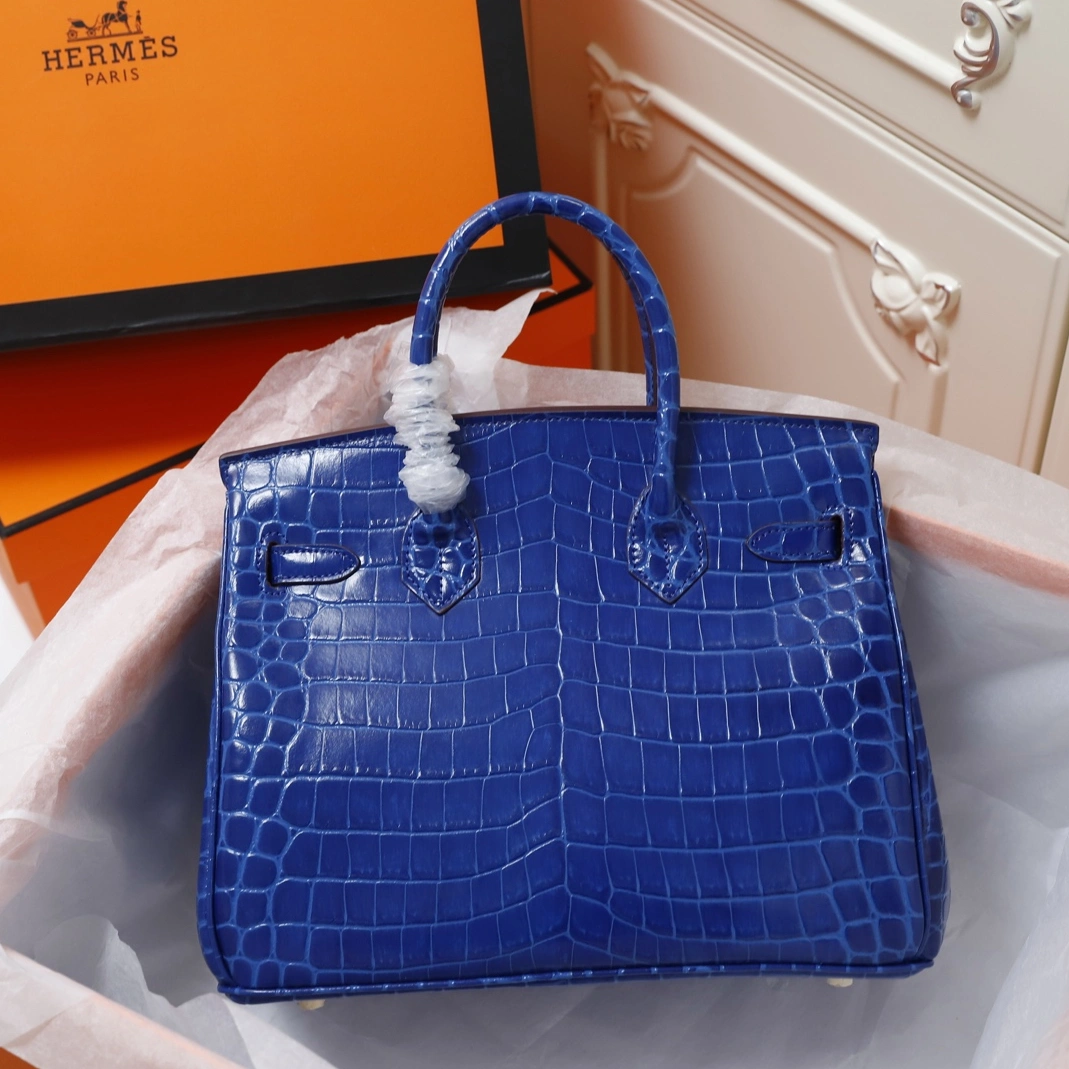 DailyWear 661 Hermes AAA Quality Handbags For Women