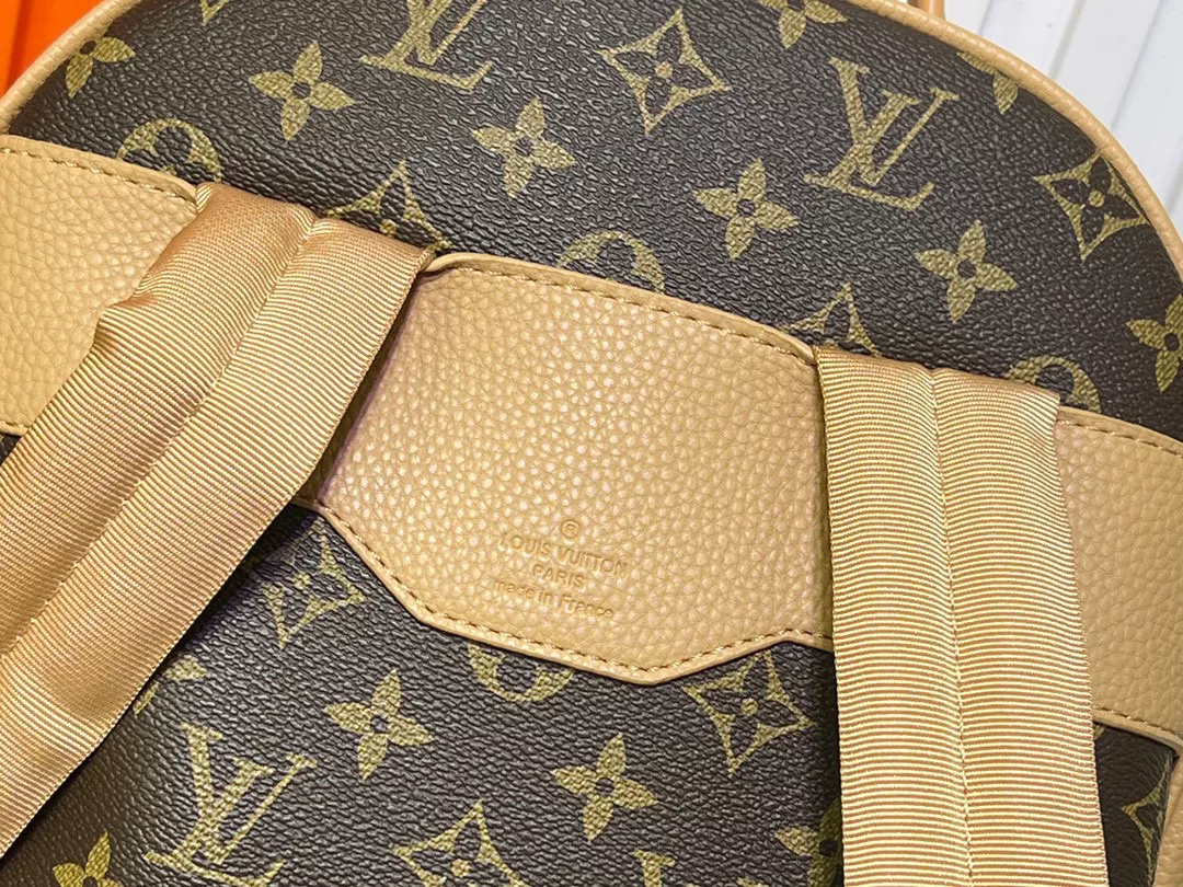Louis Vuitton AAA Quality Backpacks For Unisex Bold 8354 - Image 6