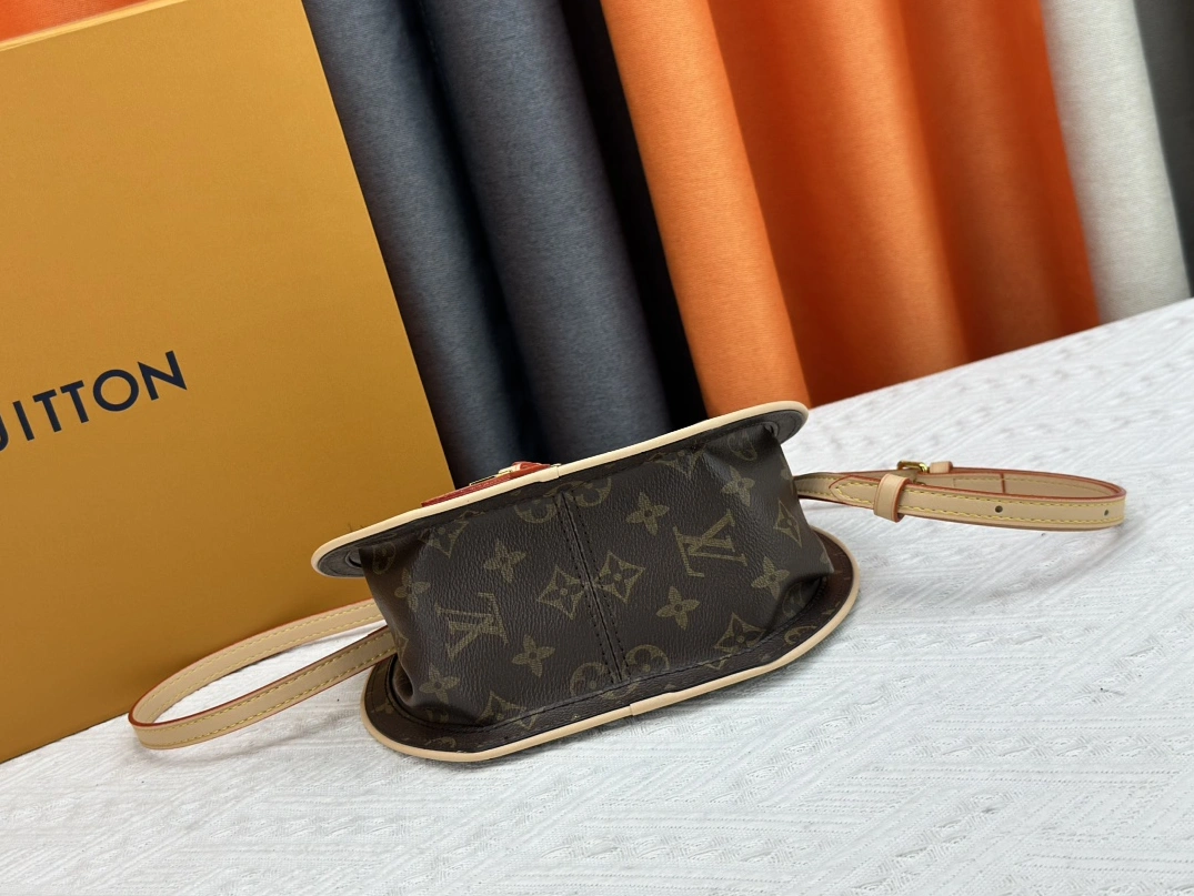 Louis Vuitton AAA Quality Messenger Bags For Women Stylish 4825 - Image 5