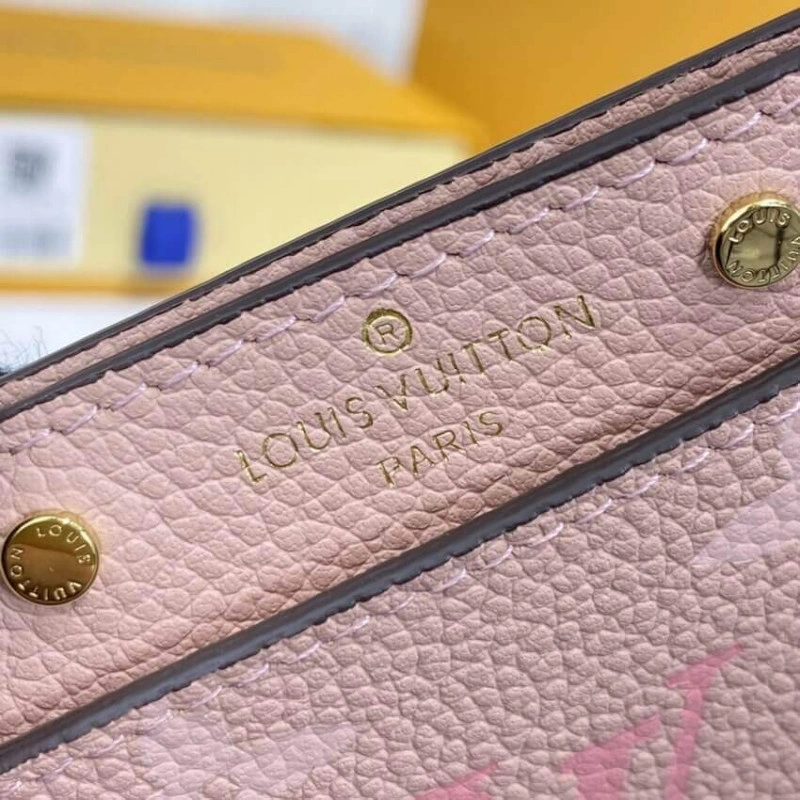 11 x 7.5 Louis Vuitton Card Holder Pink - Image 8