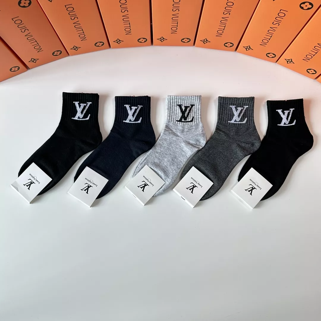 Louis Vuitton LV Socks Lightweight 2982