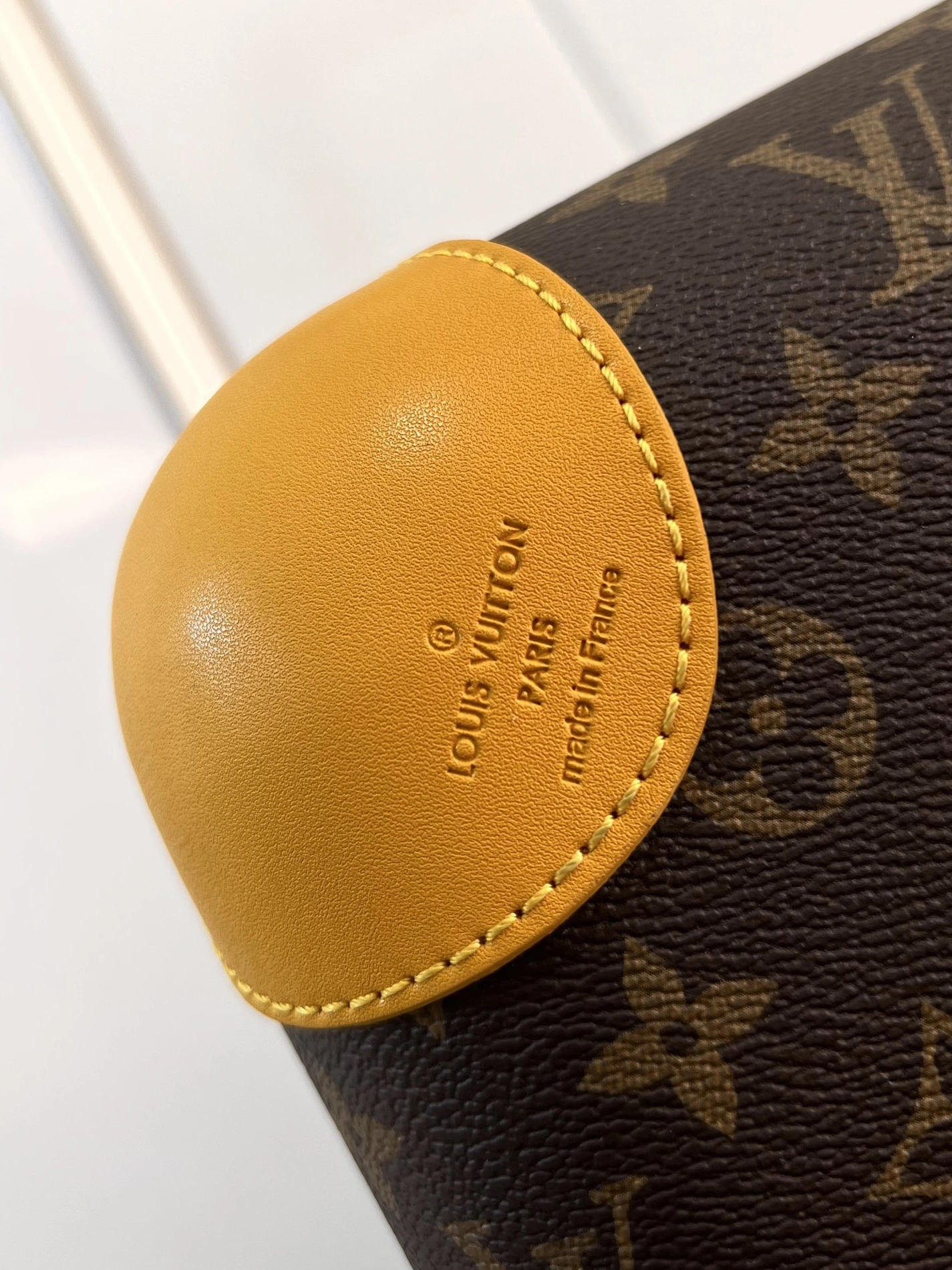 Louis Vuitton Luggage GoAnywhere 6570