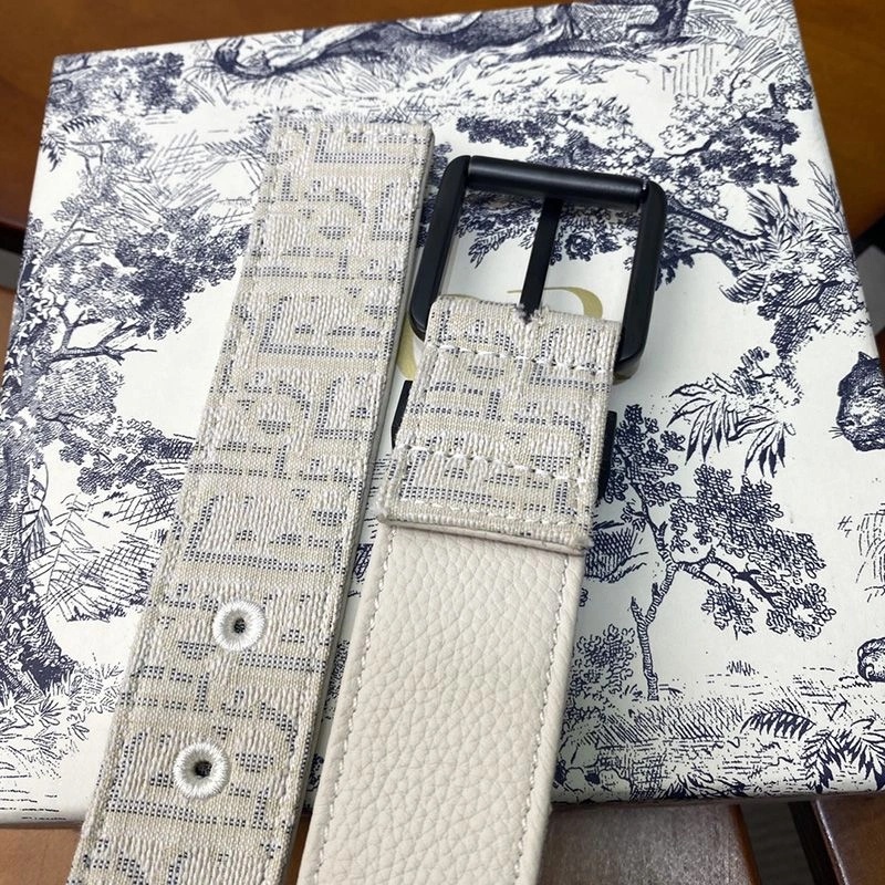 Dior Belt Oblique Motif Canvas White Black - Image 3