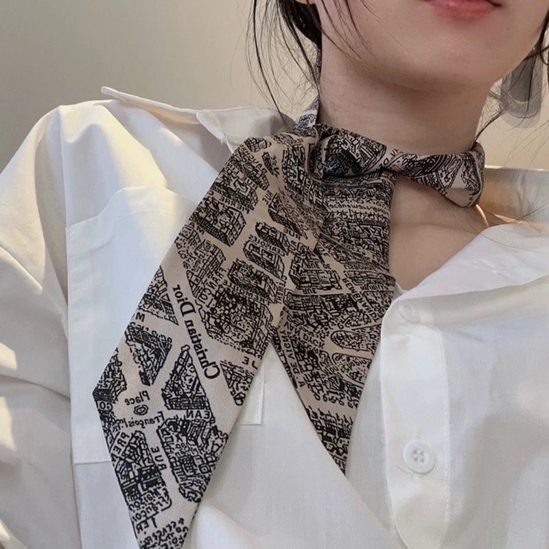 Dior Mitzah Twill Plan de Paris Motif Silk Beige - Image 3